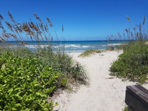 Family-Friendly Activities In and Around Port St. Lucie