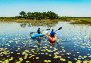 Kayaking and Paddleboarding at Savannas Preserve State Park