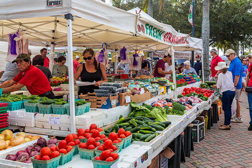 Best Farmers Markets on the Treasure Coast