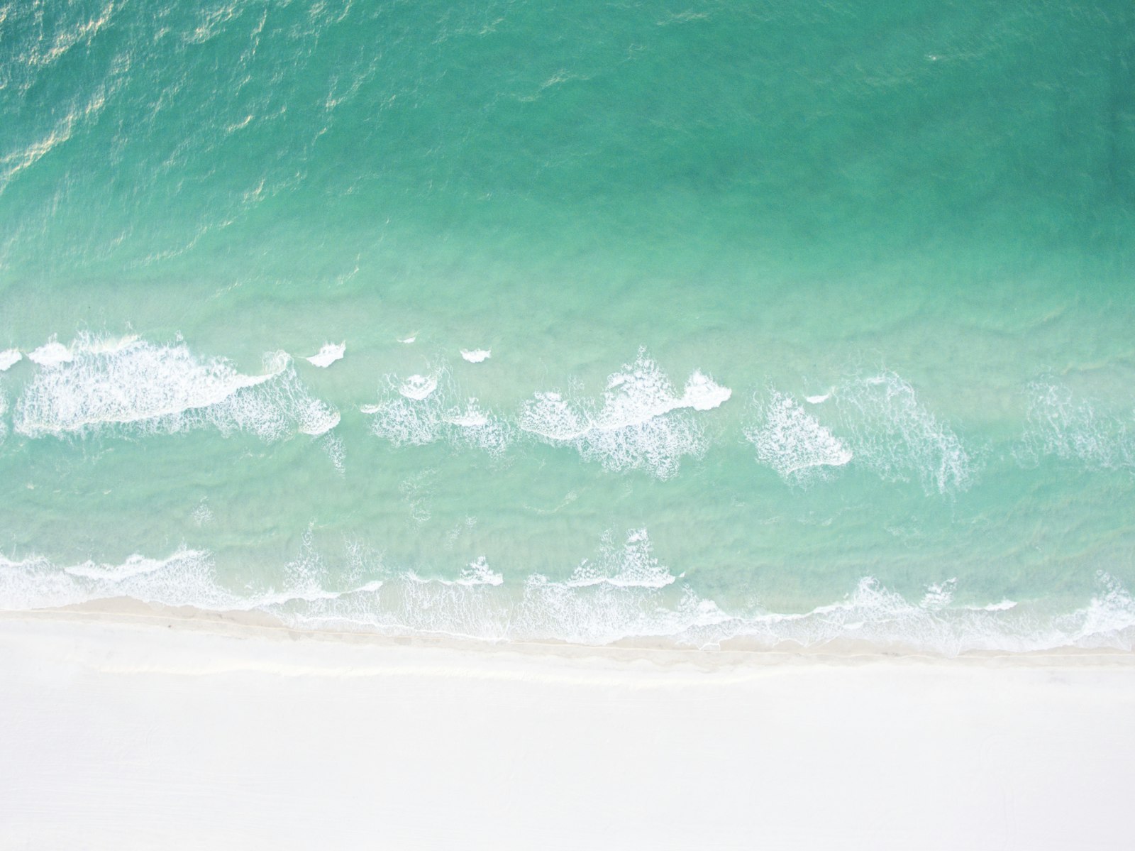 Jensen Beach Sea Turtle Nesting Season: What to Know