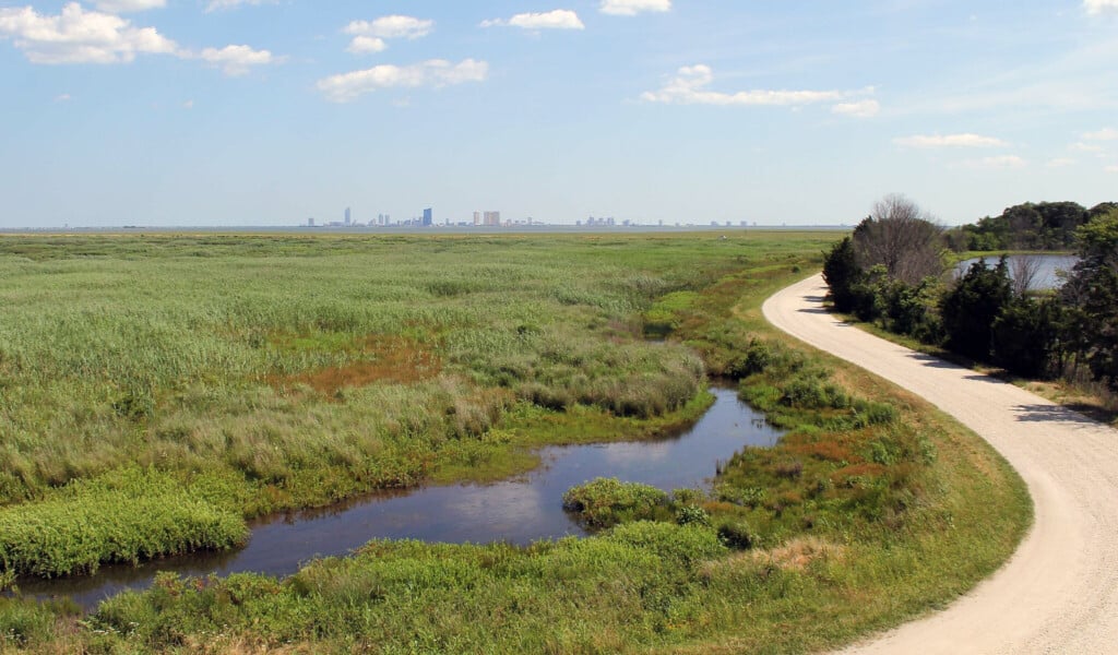 Scenic view of Edwin B. Forsythe National Wildlife Refuge showcasing lush green wetlands, winding dirt path, and distant city skyline, ideal for dog-friendly nature walks and bird-watching.
