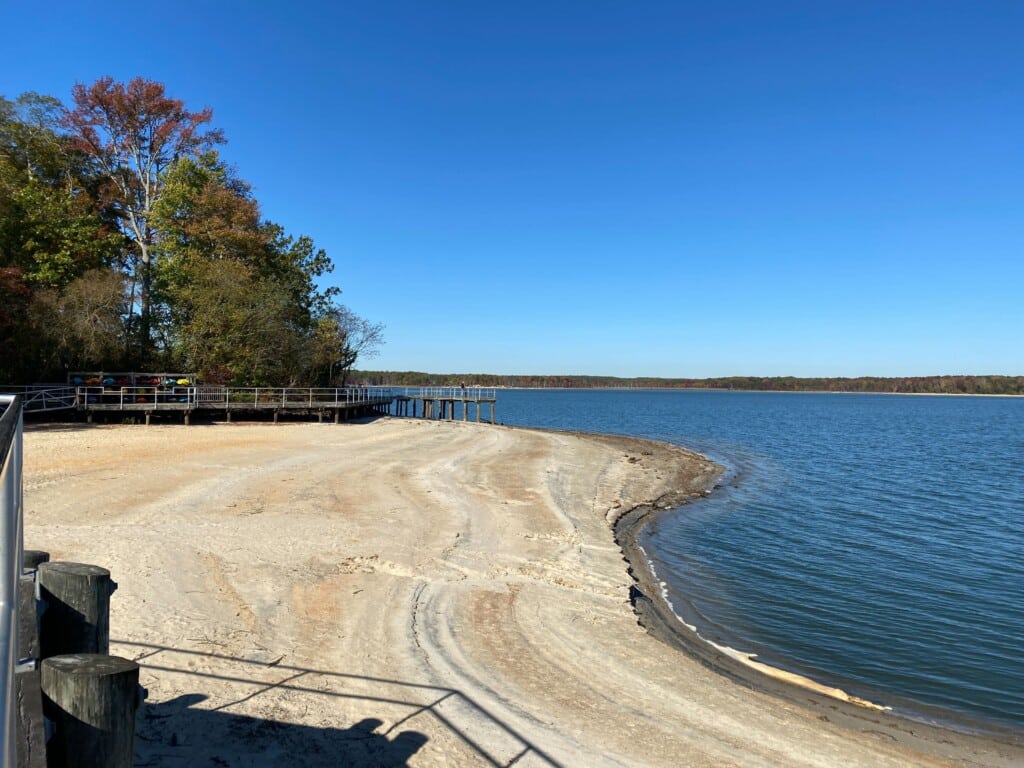 Scenic view of Manasquan Reservoir with sandy shoreline, trees in autumn colors, and a wooden pier, ideal for dog-friendly walks and nature activities.