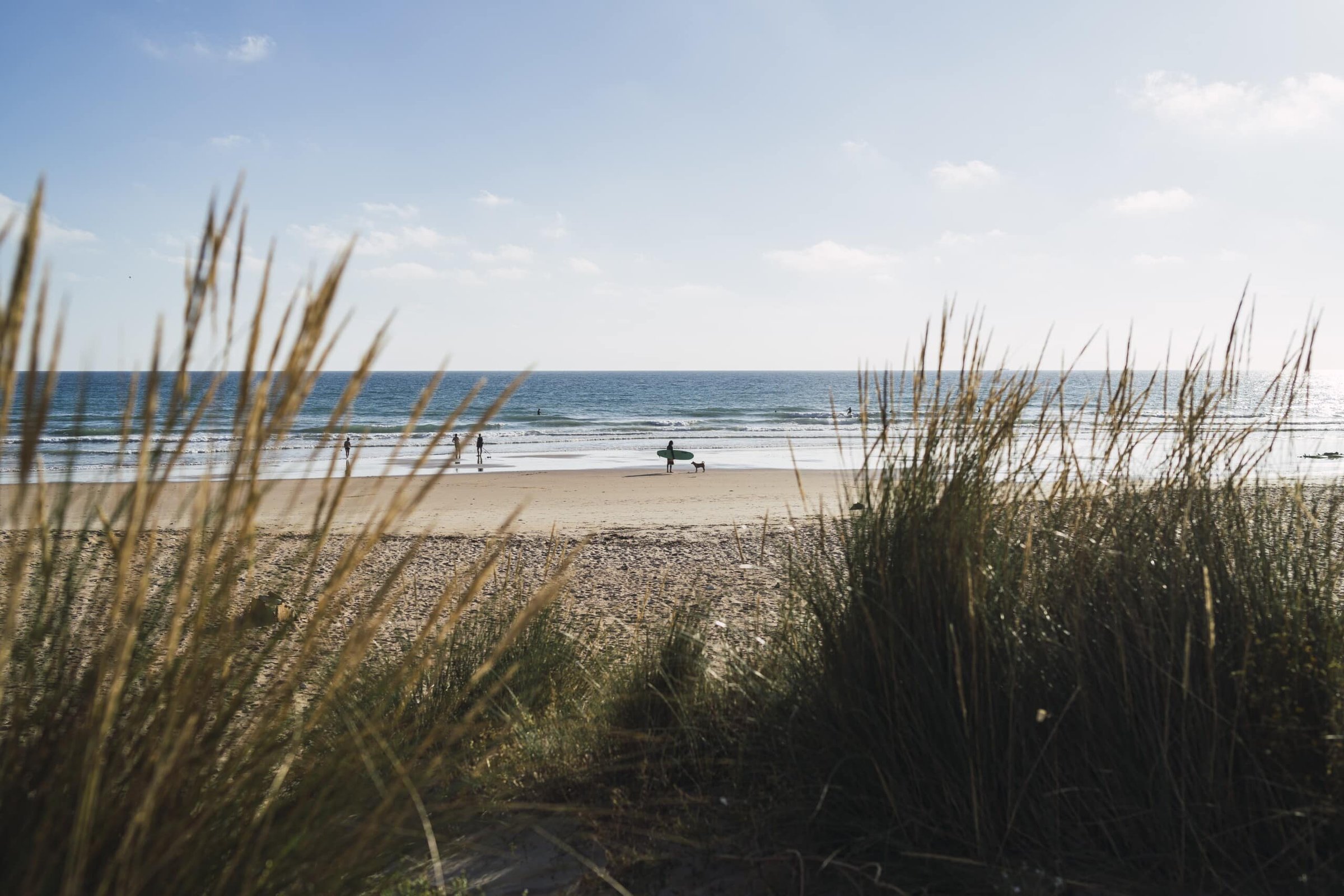 Calm seascape at the Jersey Shore with beachgoers, surfboard, and coastal grasses in the foreground.