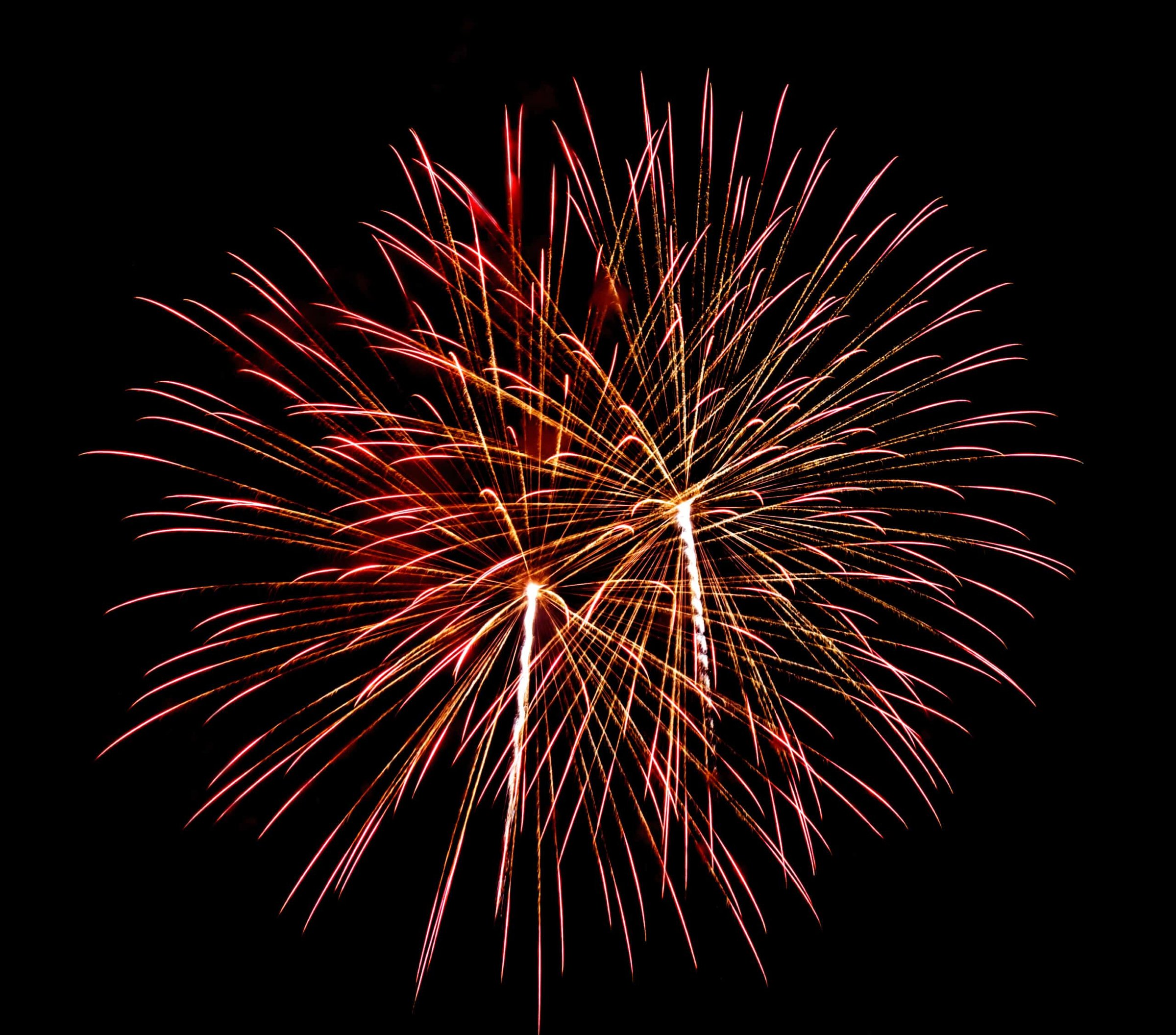 Fireworks bursting in vibrant colors against a black night sky, representing summer celebrations at the Jersey Shore.