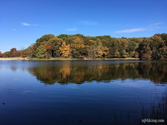 Scenic view of a tranquil lake surrounded by colorful autumn foliage along the Cheesequake Trail.