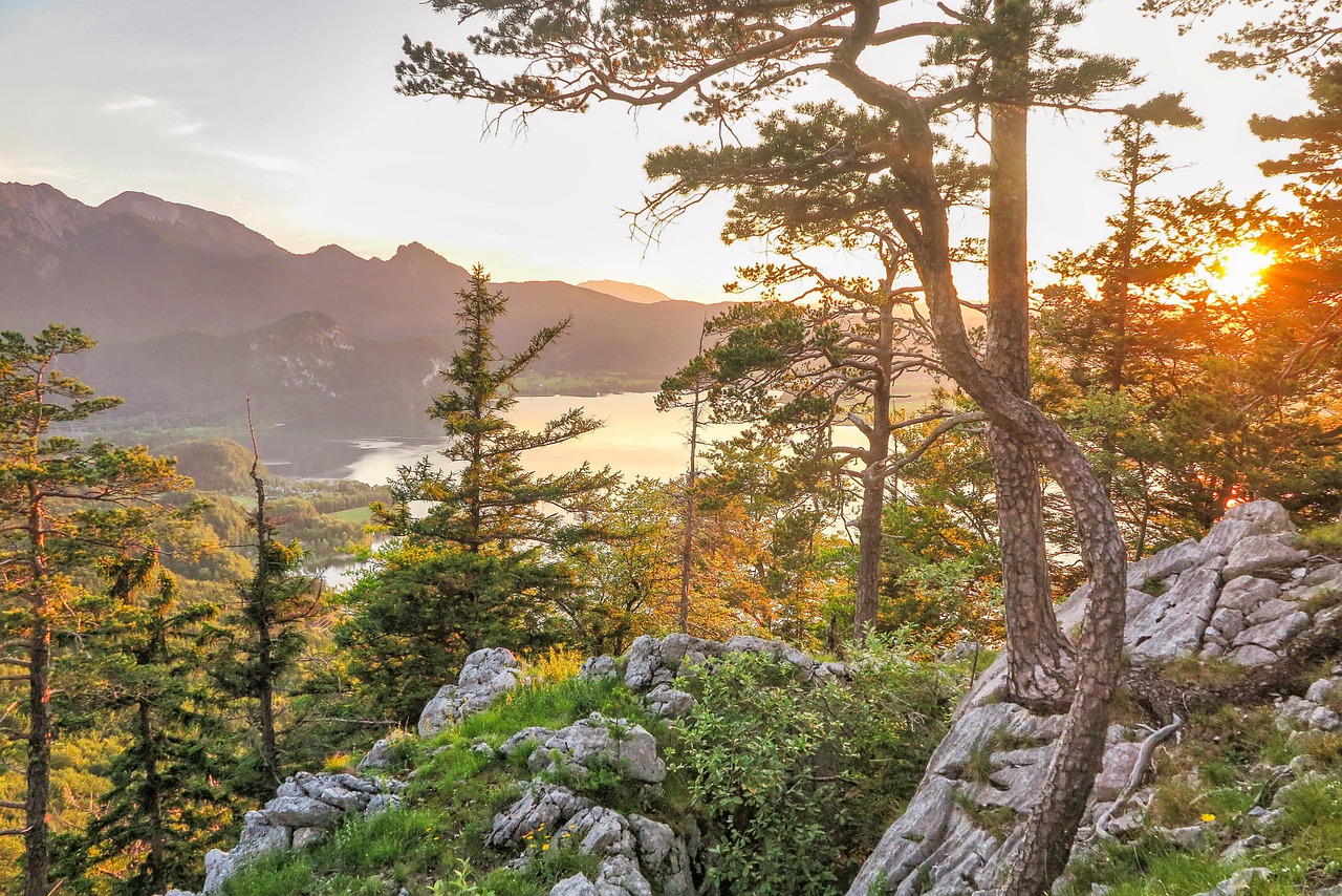 trees, nature, mountains, landscape, mountain landscape, view, hiking, landscape, view, hiking, hiking, hiking, hiking, hiking-4896953.jpg