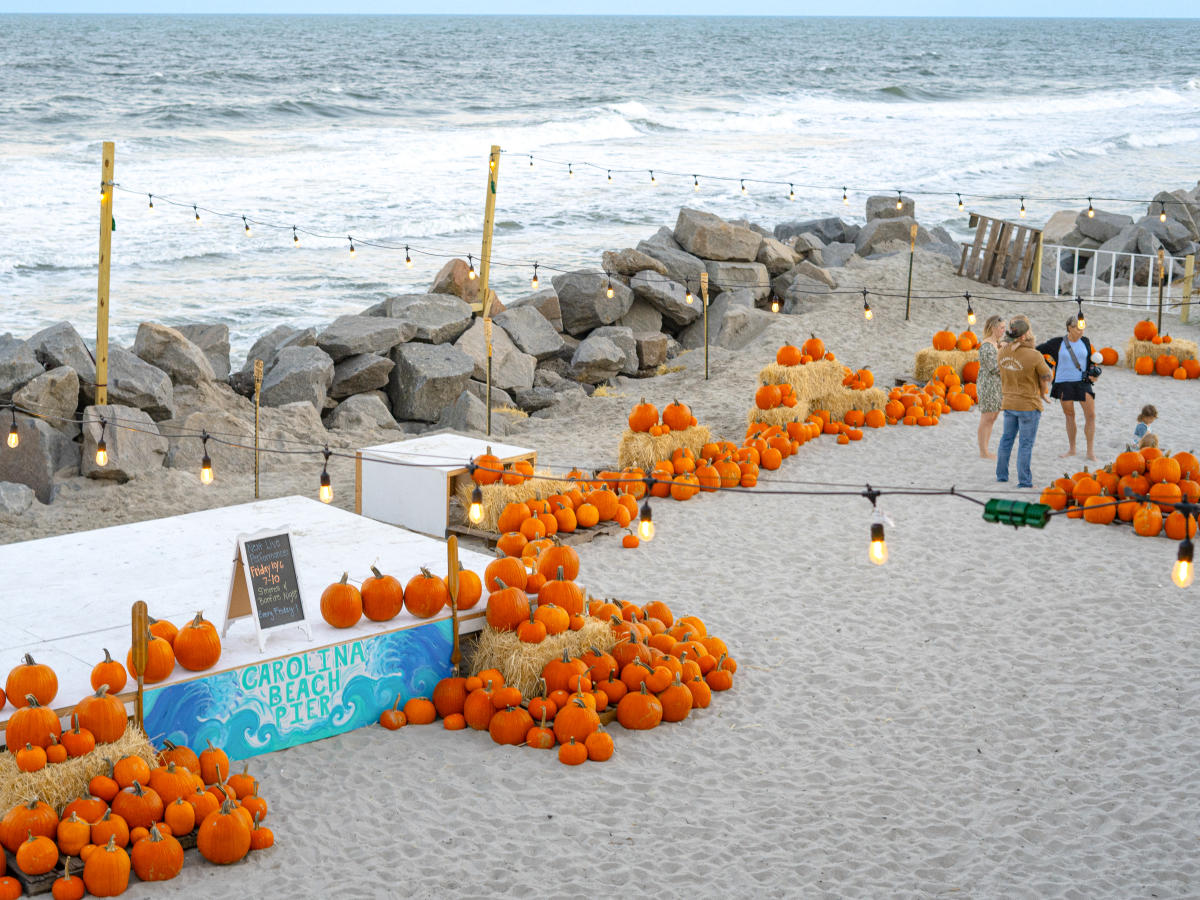 Pumpkin Patch
