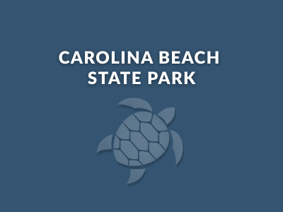 Carolina Beach State Park