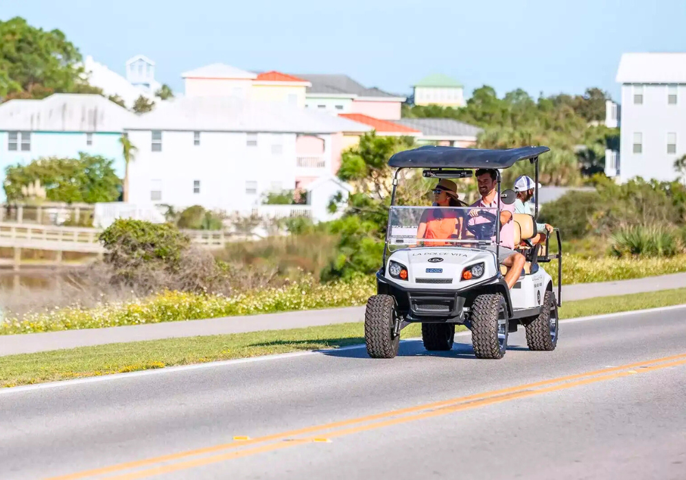family golf cart