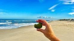 a hand holding a piece of seaglass on the beach