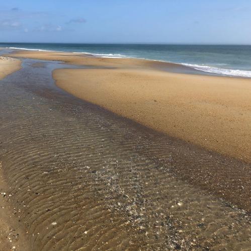 a tide pool on the beach