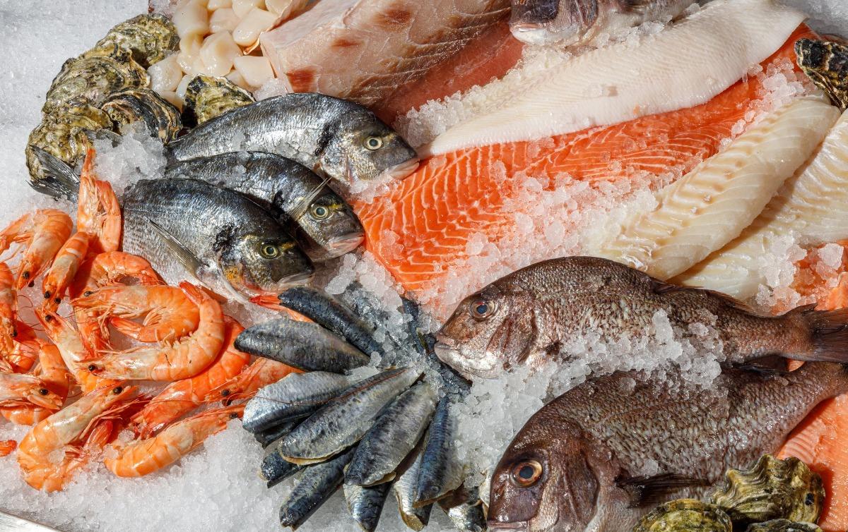 Fresh seafood on ice including shrimp, fish, scallops, and oysters.