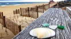 shells and sea glass sitting on a deck railing on the oceanfront