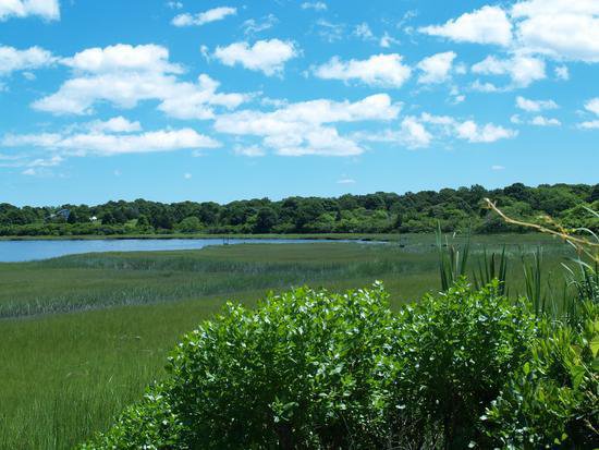 OWN A VACATION HOME? THINKING ABOUT BUYING ONE?