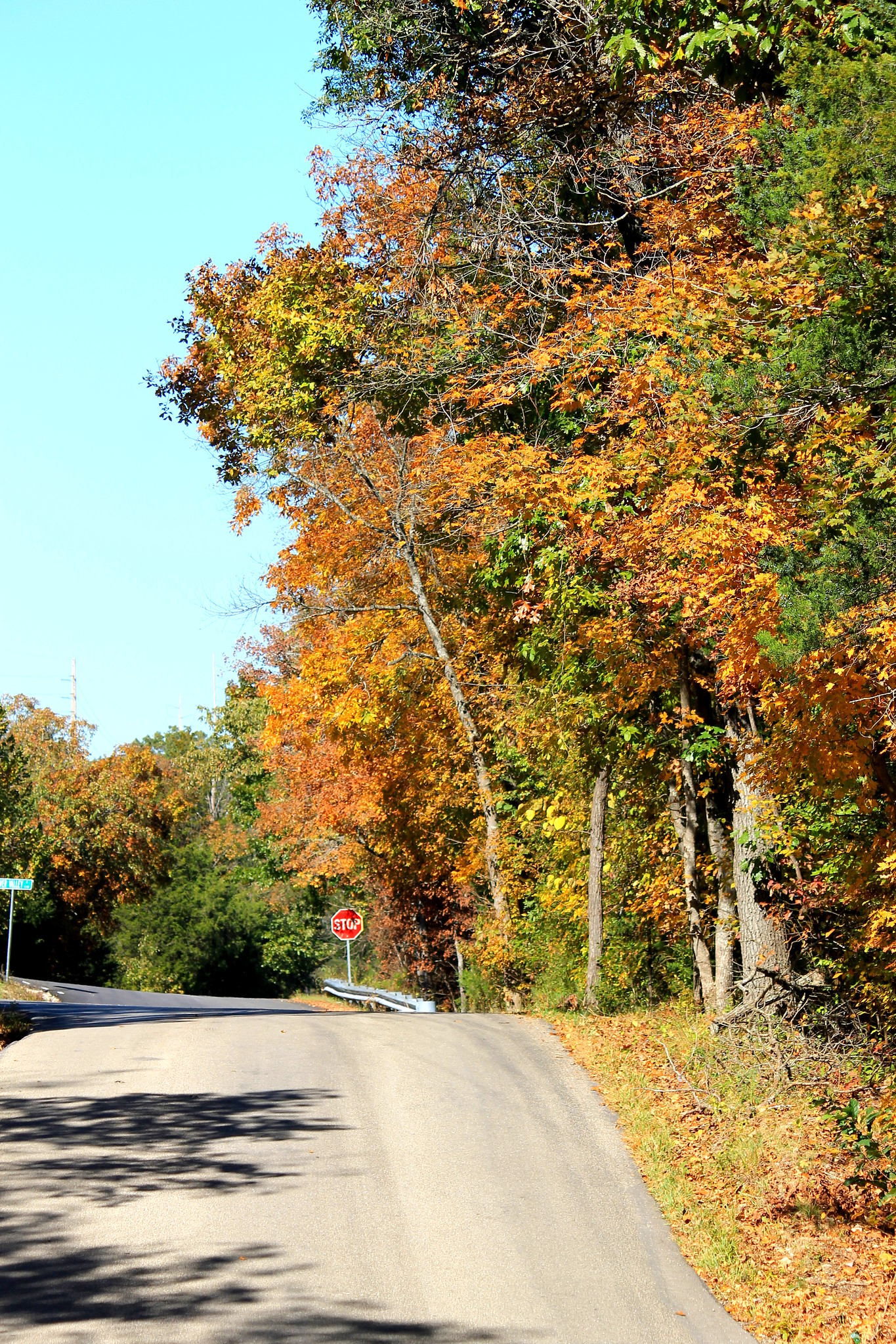 autumn