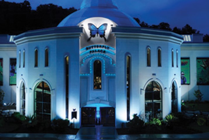 Butterfyly Palace