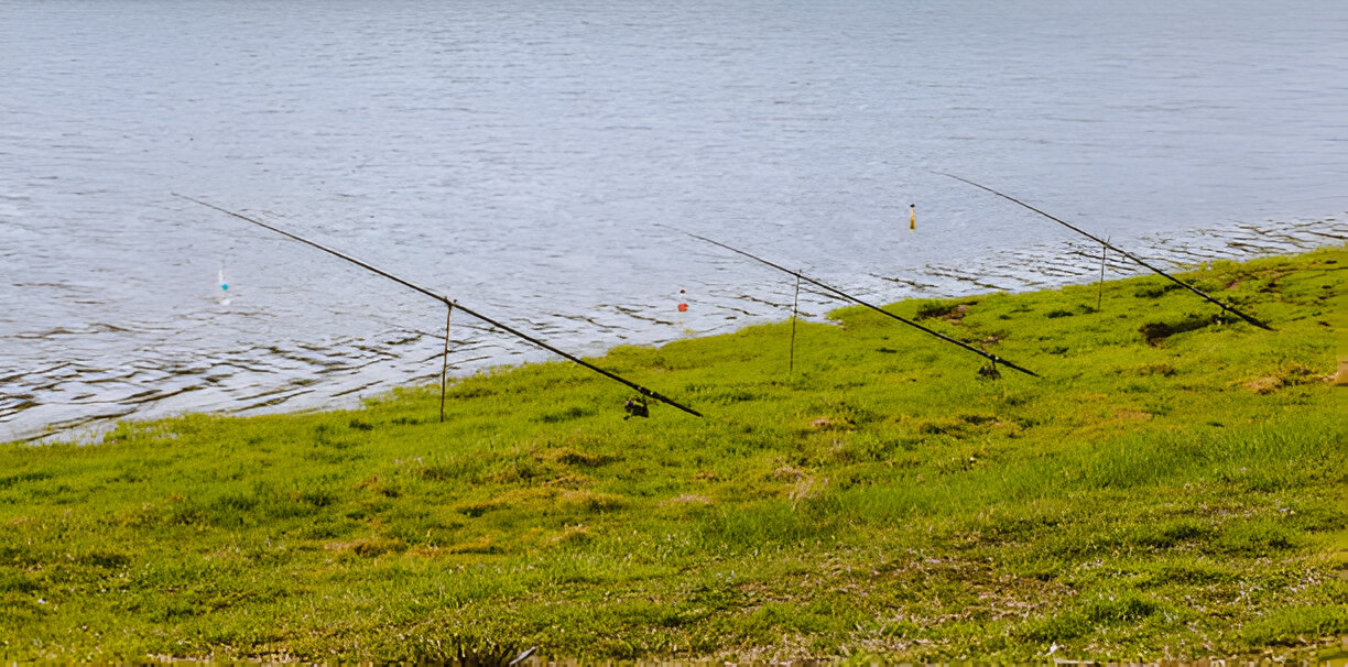 lake fishing