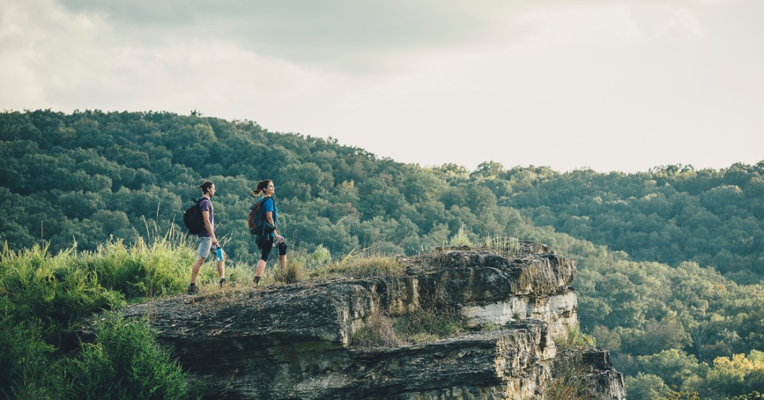 Two individuals stand on a cliff, gazing out over a vast, lush forest below them.