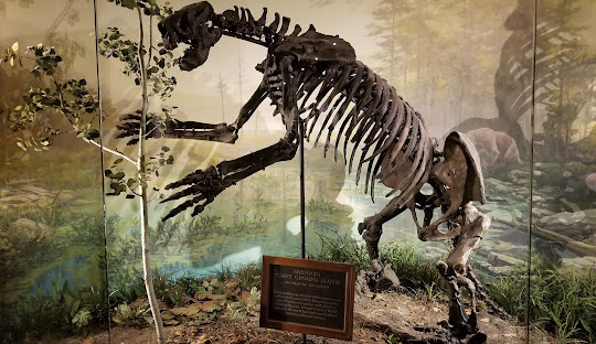 Ozarks Natural History Museum