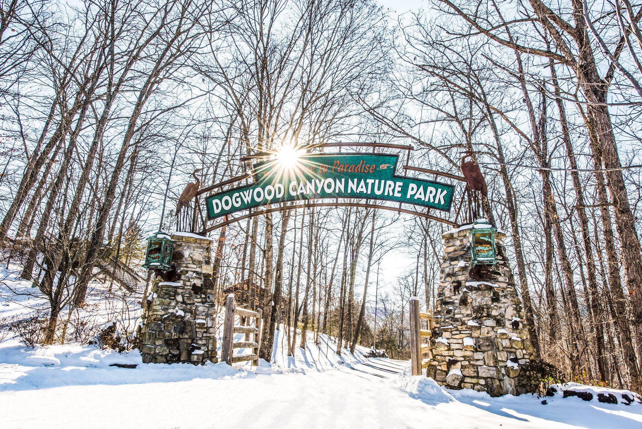 Dogwood Canyon Nature Park