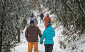 A diverse group of individuals walking together along a snowy path, surrounded by a serene winter landscape.