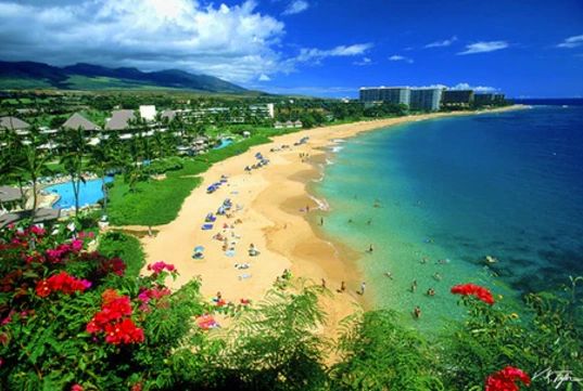A vibrant beach with golden sand and clear blue water under a bright sky.