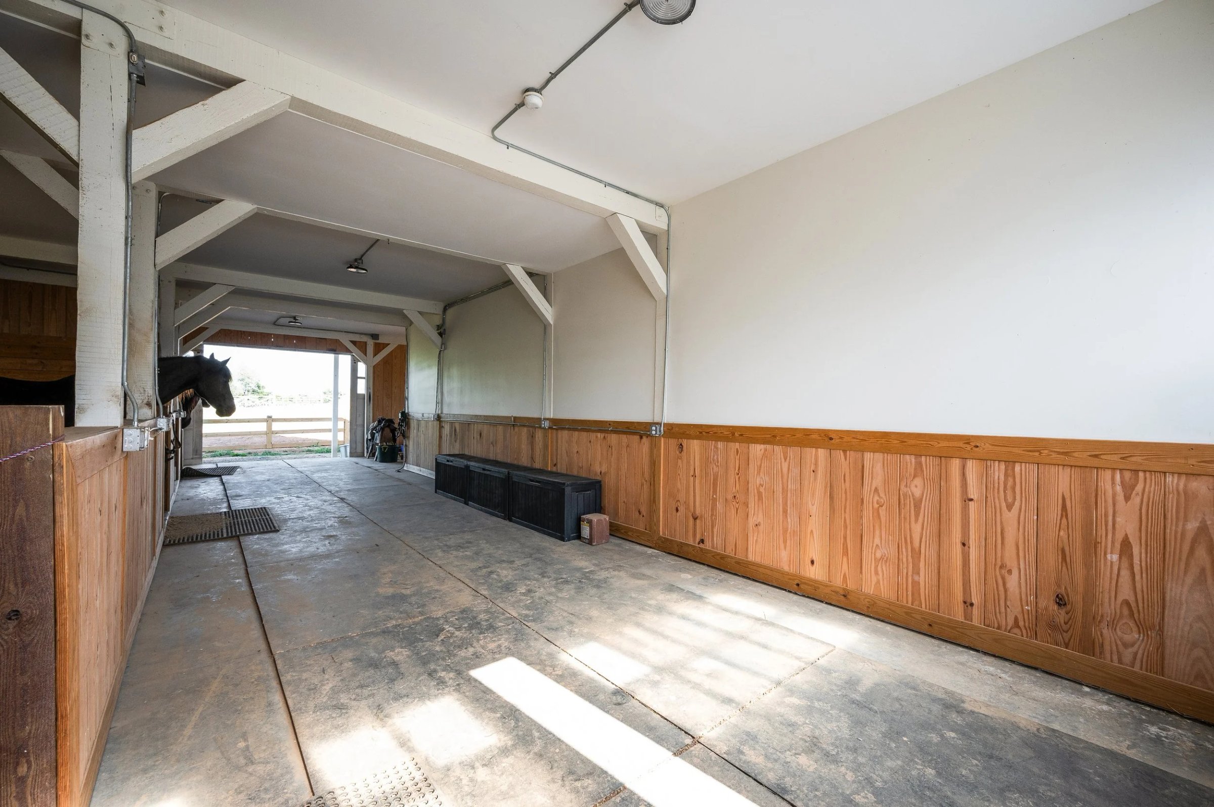 Interior of a clean horse stable aisle with wooden stalls, concrete flooring, overhead lights, and a horse in a stall