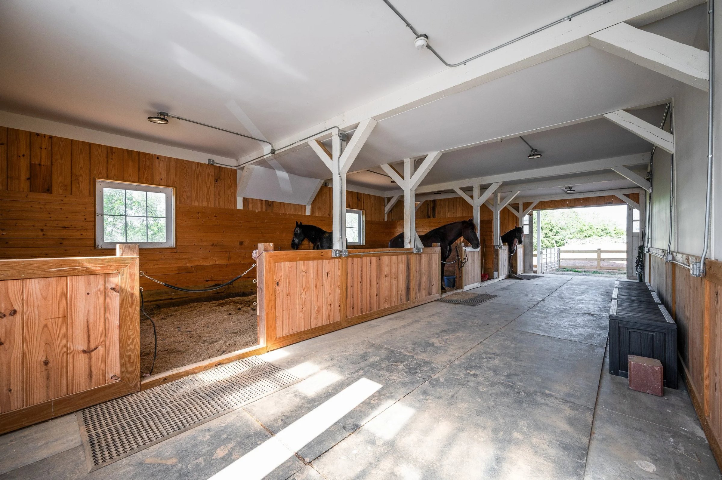 Interior of a clean wooden horse stable with three horses in individual stalls.